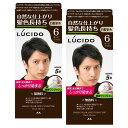 LUCIDO(ルシード)【まとめ買い】ワンプッシュケアカラー(医薬部外品)メンズ用ショートヘア約4回分白髪染め無香料ダークブラウンセット2個(X1)