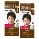 LUCIDO(ルシード)【まとめ買い】ワンプッシュケアカラー(医薬部外品)メンズ用ショートヘア約4回分白髪染め無香料ライトブラウンセット2個(X1)