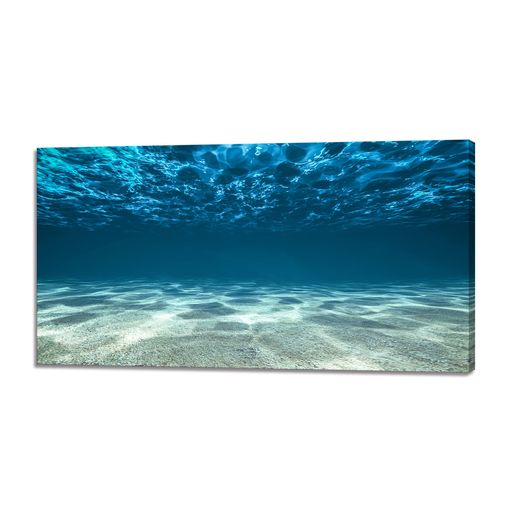 μ̿ȥѥͥĶηʿƥꥢʲɳݤɳդδ(30x60cm)