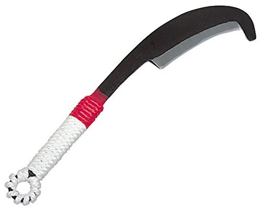 ܥ(Kinboshi)ŷϻն״450g