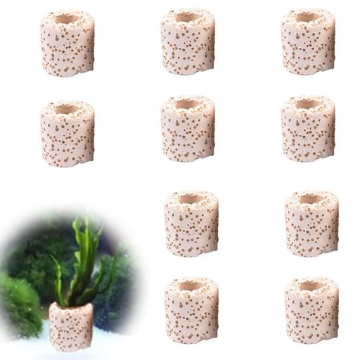 ʪ󥰿󥰿太ꥢꥦ캽ϴпθ奪ʥɲŶߺϿ²奢...