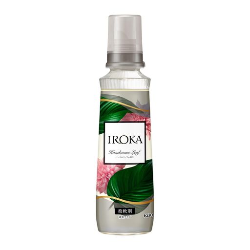 IROKAϥ󥵥꡼540ML
