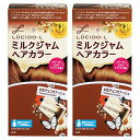 【まとめ買い】LUCIDO-L(ルシードエル)ミルクジャムヘアカラー#生チョコガナッシュ(医薬部外品)1個(x2)