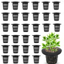 LEACAGR水耕栽培鉢30個セット定植かごプラスチックメッシュポット植物育成カップ水耕栽培ポット園芸庭園ガーデンニング苗運搬植物栽培有機栽培水培養定植育苗かご...