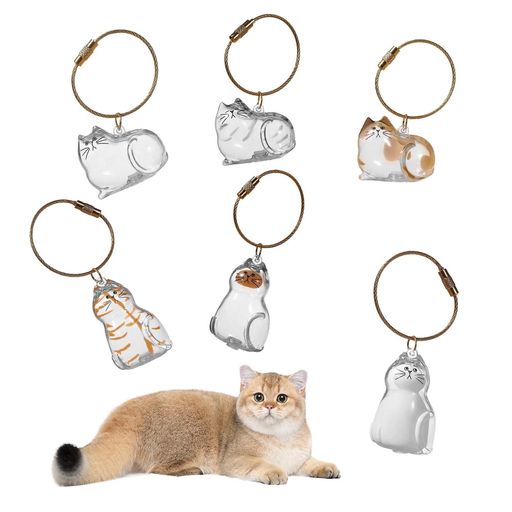 aninakoペット毛保存ボトル猫遺毛ケース6個猫の毛キーホルダートペットメモリアルボトル透明アクリル製..