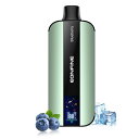 Eonfine電子タバコ使い捨てLEDスクリーン付きベイプ20000回吸引可能vape禁煙爆煙持ち運びニコチン無し電子タバコ水タバコニコチンタールなし使い捨てベイブブルーベリー|詳細画像