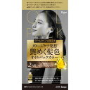 【白髪染めレディース】ビゲンオイルパックカラー2NBより明るいナチュラルブラウンHOYUホーユー白髪用ヘアカラーBIGENビゲン(医薬部外品)