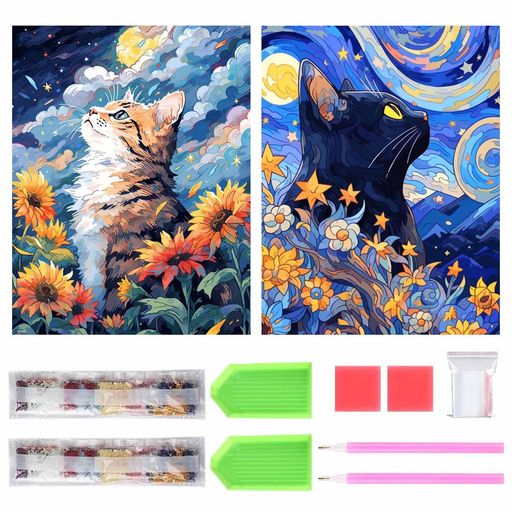 サムコスダイヤモンドアートキットダイヤモンドの絵画2個セットきれい全面貼り付けダイヤモンドアート5D初心者大人の子供DIY手芸キット家の壁の装飾(A)