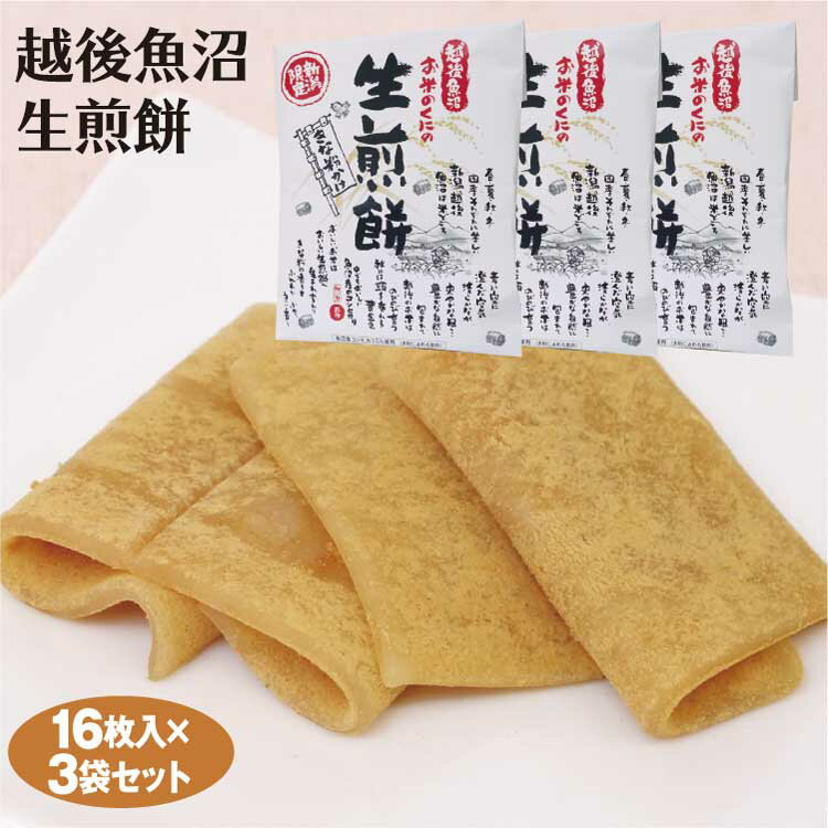 新潟 お土産 越後魚沼生煎餅 16枚×3個 新潟みやげ おみやげ 和菓子 せんべい 生煎餅 こしひかり コシヒカリ お米 夢えちご 白心堂