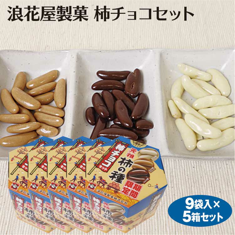 新潟 お土産 浪花屋製菓 柿チョコセット×5箱 新潟みやげ 柿の種 チョコ掛け 期間限定 冬季限定 新潟名物