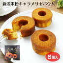 新潟 お土産 新潟米粉キャラメリゼバウム 6個入 個包装 米粉 バウム バームクーヘン(4)
