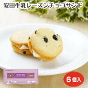 安田牛乳 レーズンチョコサンド 6個入 新潟県 お土産 安田牛乳 個包装 おみやげ スイーツ お菓子(4)