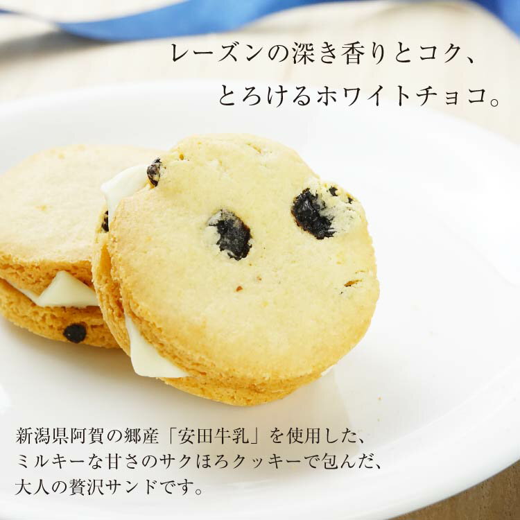 安田牛乳 レーズンチョコサンド