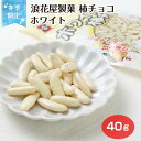 【冬季限定】新潟 お土産 浪花屋製菓 柿チョコホワイト 40g 柿の種 ホワイトチョコ