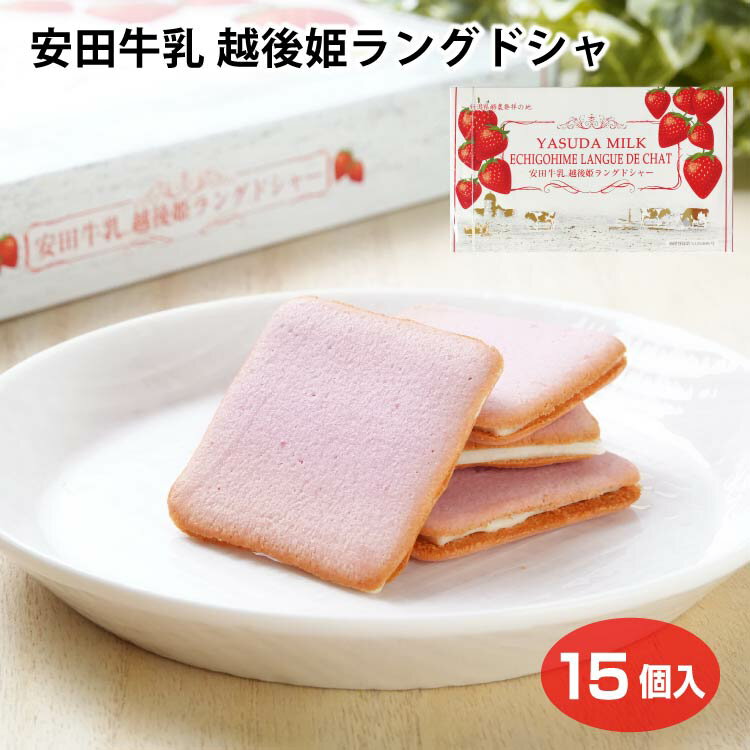Langue De Chat - 安田牛乳 越後姫ラングドシャ 15個入（1箱/5箱セット） 新潟 おみやげ お土産 イチゴ いちご 苺 チョコ サンド クッキー お菓子 スイーツ 洋菓子 新潟県