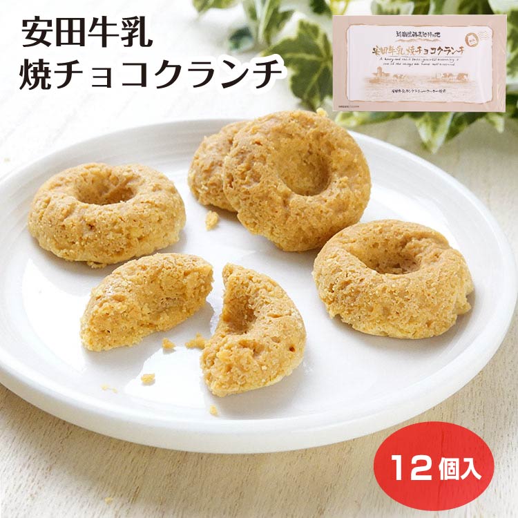 安田牛乳焼チョコクランチ12個入新...