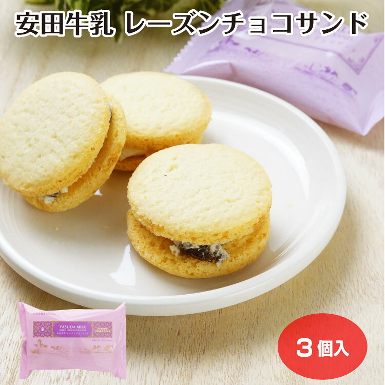 安田牛乳 レーズンチョコサンド 3個入 新潟県 お土産 新潟土産 お菓子 安田牛乳 個包装 洋菓子 スイーツ