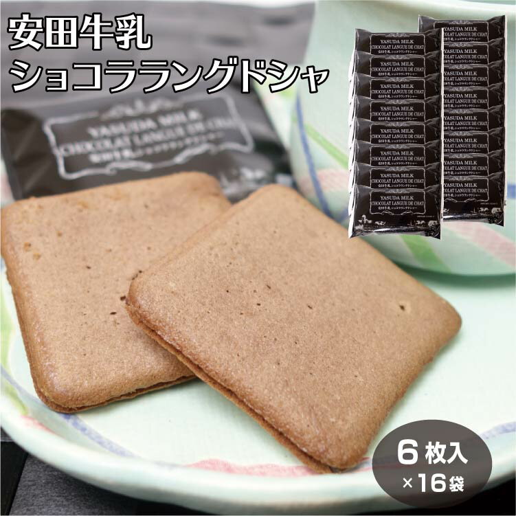 新潟 お土産 安田牛乳 ショコラ ラングドシャ 6個入×16袋 新潟みやげ おみやげ チョコ サンド クッキー