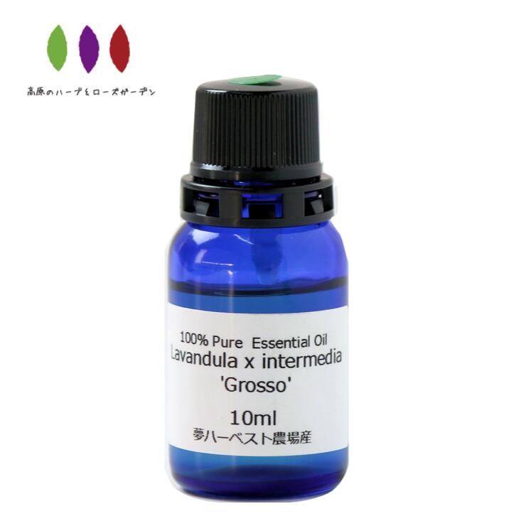 ラベンダー エッセンシャルオイル 精油 グロッソ 国産 当農場産 10ml