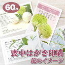 喪中はがき印刷 【60枚】 花の喪中 喪中ハガキ 年賀欠礼はがき ちょっと差がつくデザイン各種 送料無料 メール校正何度でもOK 寒中見舞3枚おまけ付