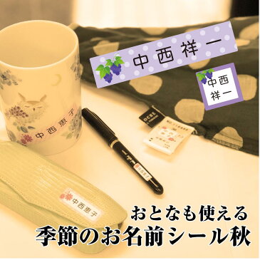 季節のお名前シール【秋】 お名前シール シンプル ちょっと差がつく おとなのお名前シール 耐水・耐久・薄型のピタッとシール 全116枚の大容量 介護用 入院用 にも