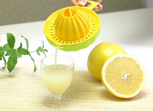 �ΤΤ�������ե���ʪ�졡��ɱ������������̵����