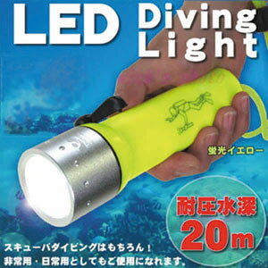 CREE社 強力LED完全防水ライト【代引き手数料無料】