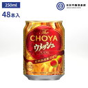 The CHOYA EbV  4x 250ml 48{ AR[  `[ ~ ~  ƈ p[eB[ o[xL[ BBQ  ܂