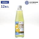 アサヒシロップ アサヒ シロップ SYRUP グレープフルーツシロップ グレープフルーツ 600ml 瓶 12本入 1ケース ドリンク デザート ソーダ割 焼酎 サワー カクテル ノンアルコールカクテル 炭酸…