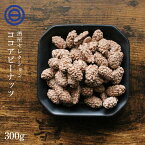 ココアピー 300g ココアピーナッツ ここあぴーなっつ コーティング 落花生 豆菓子 ココアフレーバー やみつき おやつ おつまみ お菓子 スイーツ ココアパウダー ココアコーティング 駄菓子 お徳用 訳あり 家庭用 業務用 前田家 送料無料