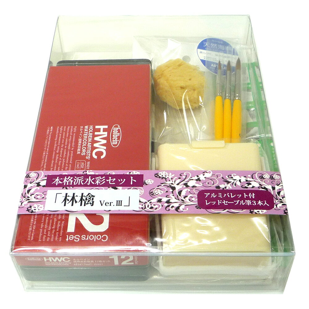 【最大30倍×ブラックフライデー SPU 要エントリー 11/20 20:00 〜 11/27 1:59】 本格派水彩セット 林檎3 (りんご)