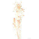 【最大29倍×お買い物マラソン SPU 要エントリー 7/19 20:00 〜 7/26 1:59】 ハーバリウム ブルーム ピンク 2袋パック