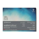 Winsor&Newton プロフェッショナル水彩紙ブロック 細目 300g 25.4×35.6