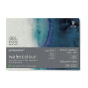 Winsor&Newton プロフェッショナル水彩紙ブロック 荒目 300g 25.4×35.6
