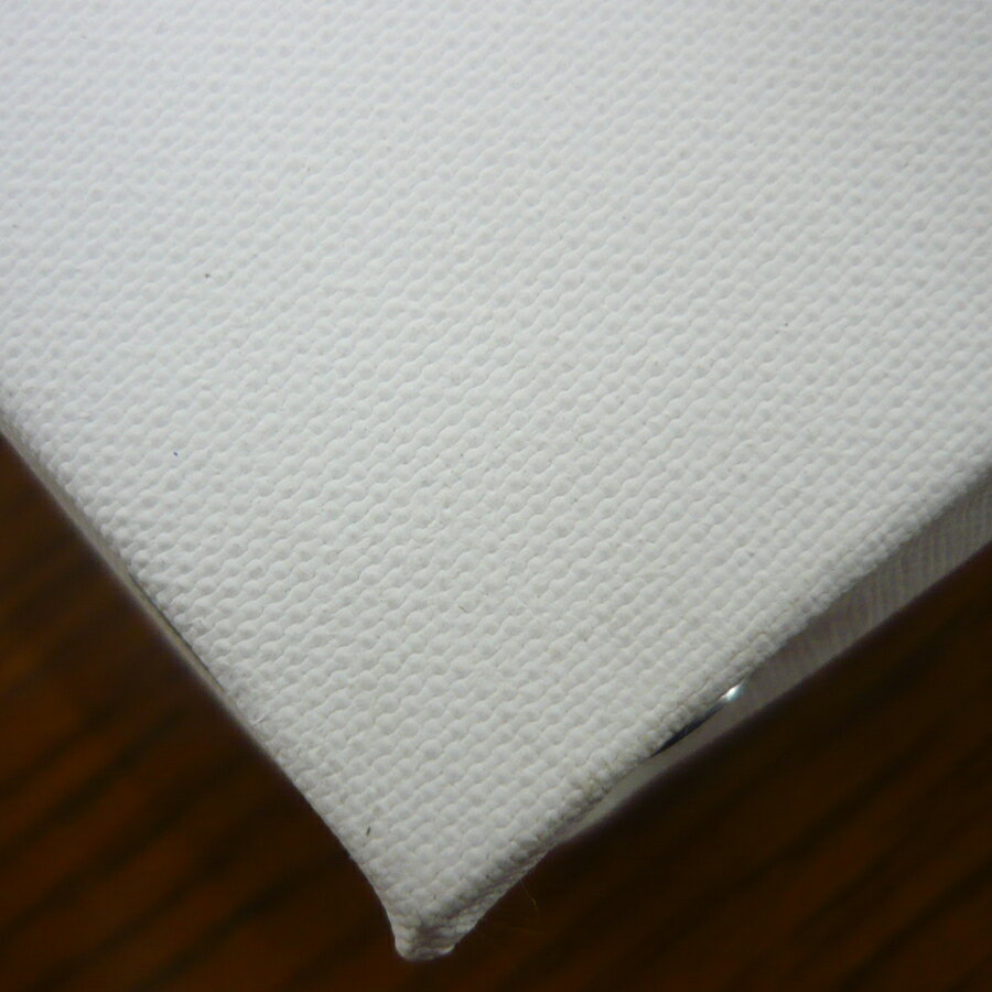 アクア フラット張りキャンバス F0