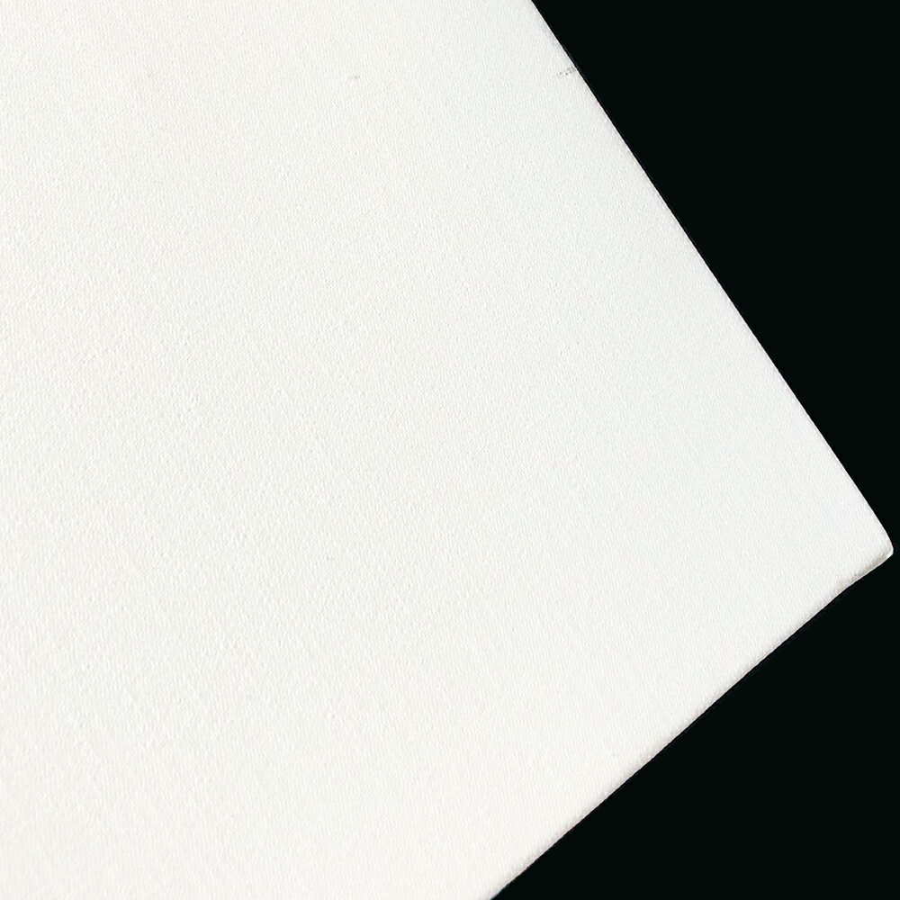 張りキャンバス CF ホワイト 綿化繊混紡 P8 (333×455mm) 桐木枠 アクリル・油彩画用 【最大29倍×お買い..