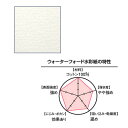 WATERFORD ウォーターフォード 水彩紙 1/8 (300g) ナチュラル 中目 280×190mm 4枚入り