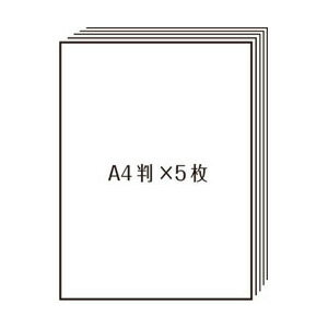 シール式 ステンシル ノーカットタイプ・5枚入