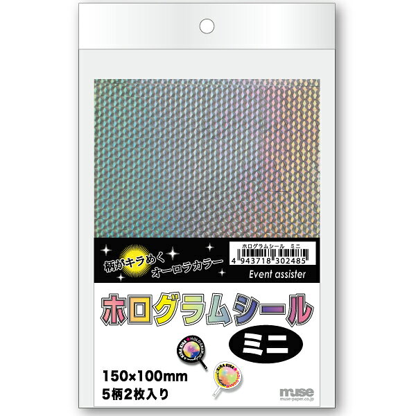 Craft - ホログラムシール ミニ 150×100mm 5柄2枚入り 【最大29倍×お買い物マラソン SPU 要エントリー 5/23 20:00 〜 5/27 1:59】