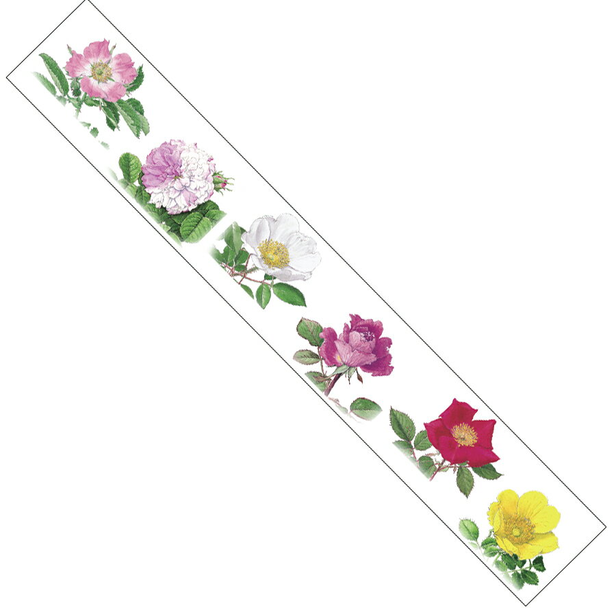 【画材祭り★最大30倍×クーポン企画有 SPU 要エントリー 12/1 00:00 〜 12/1 23:59】 SAIEN 彩宴 マスキングテープ ボタニカルア...