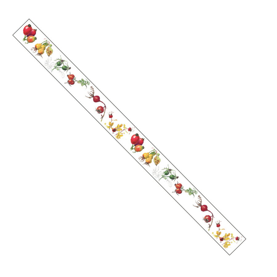 【画材祭り★最大30倍×クーポン企画有 SPU 要エントリー 12/1 00:00 〜 12/1 23:59】 SAIEN 彩宴 マスキングテープ ボタニカルア...