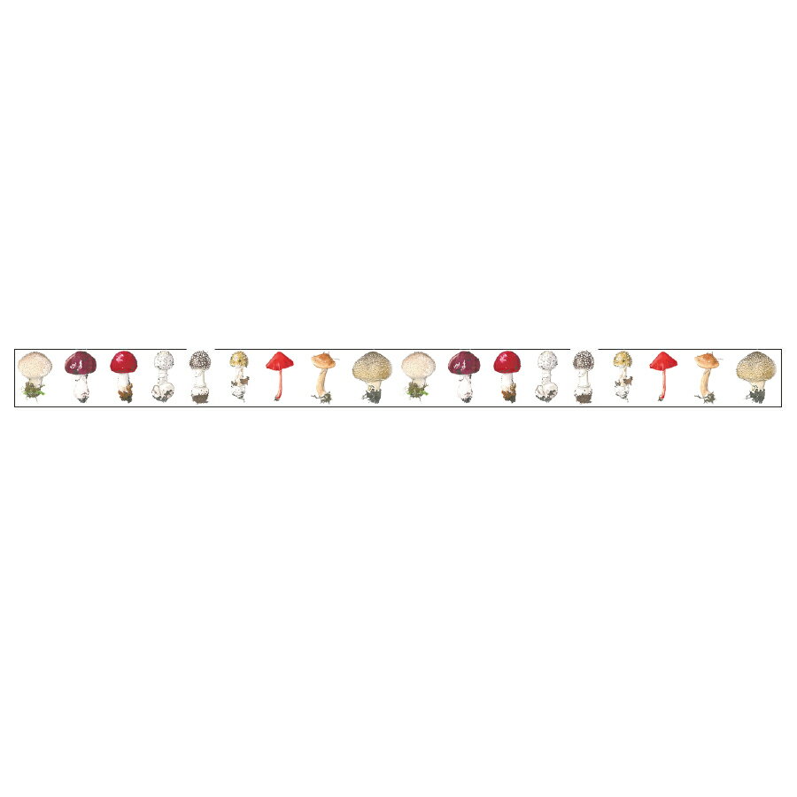 SAIEN ̱ ޥ󥰥ơ ܥ˥륢 Τ 15mm7m (3ѥå) GR-0025