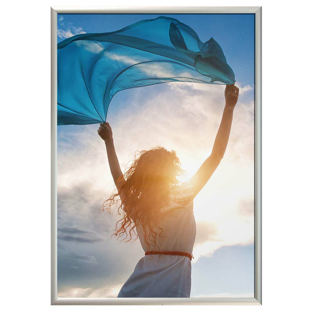 ポスターフレーム SOFKEN ソフケン スリムエイト B3 シルバー アルミフレーム