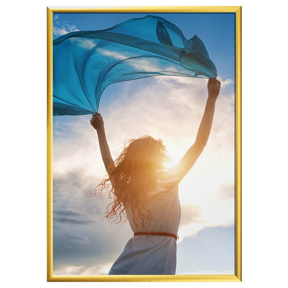 ポスターフレーム SOFKEN ソフケン スリムエイト A3 ゴールド アルミフレーム