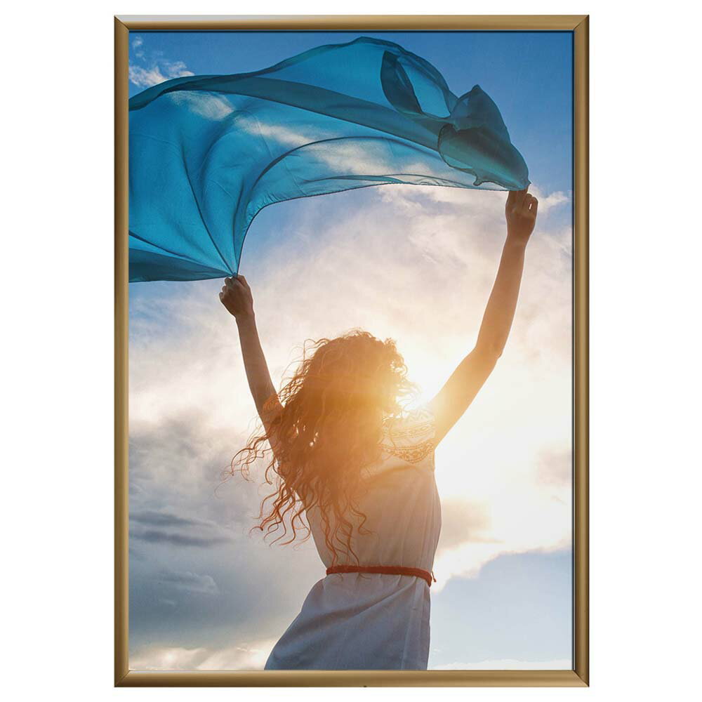 ポスターフレーム SOFKEN ソフケン スリムエイト B2 ブラウン アルミフレーム