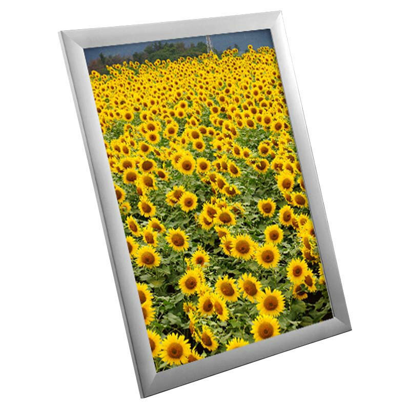 ポスターフレーム SOFKEN ソフケン ワイド30 A1 シルバー アルミフレーム