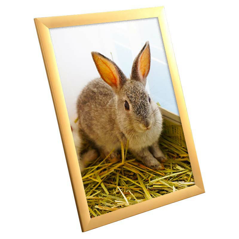 【画材祭り★最大29倍×クーポン企画有 SPU 要エントリー 2/1 00:00 〜 2/1 23:59】 ポスターフレーム SOFKEN ソフケン ワイド30 A1 ゴールド アルミフレーム 【メーカー直送・代引き不可】