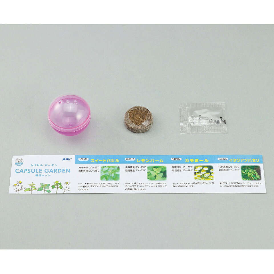 ハーブ栽培キット スイートバジル カプセルガーデン 自由研究 観察キット