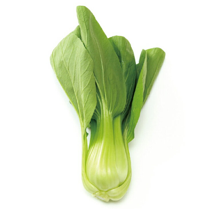 （まとめ）繰出しルーペ（金属枠）KL【×5セット】