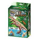 化石発掘復元キット ティラノサウルス